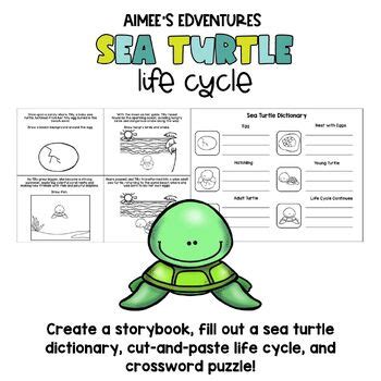 Sea Turtle Life Cycle Fun Science Activities By Aimee S Edventures Llc