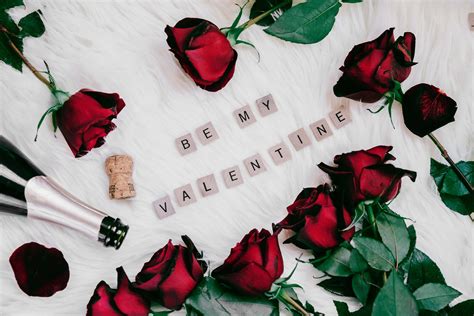 Download Valentines Day Pictures