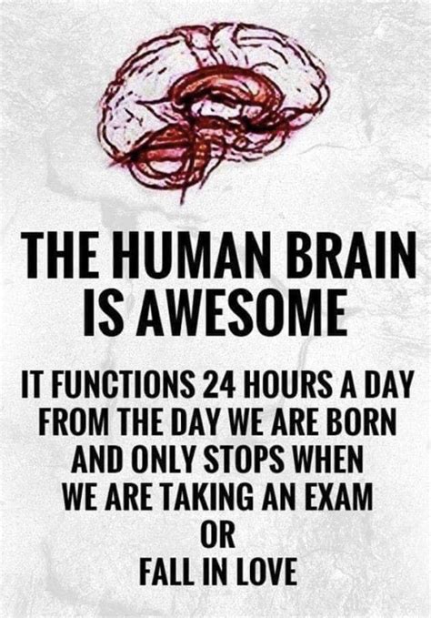 Pin By Sandi Kramer On Quotes To Live By ️ Take Exam Human Brain
