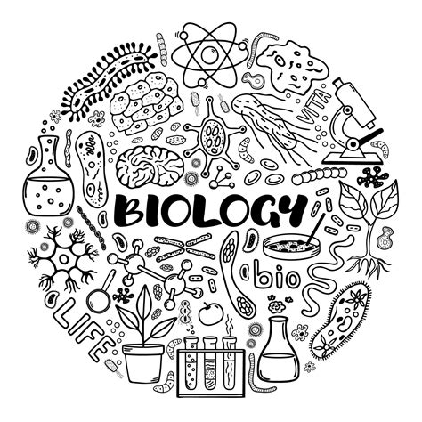 Biology Round Concept Vector Hand Drawn Elements In Doodle Style