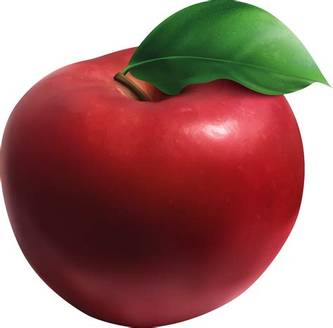 Realistic Apple Sticker Fruit Tenstickers