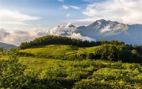 Landscape View Of Fog Covered Mountains And Green Trees Under Cloudy