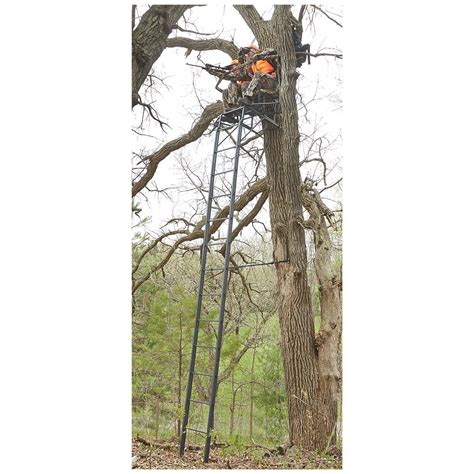 Guide Gear 2 Person 20 Double Rail Ladder Tree Stand With