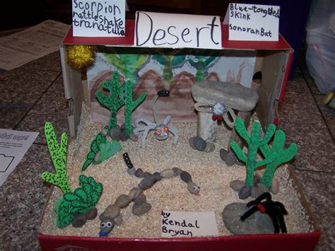 Desert Diorama Ideas Google Search Biomes Project Ecosystems Projects Habitats Projects