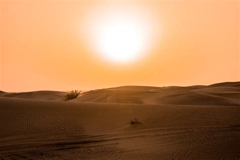 Free Images Desert Natural Environment Erg Sahara Sky Aeolian