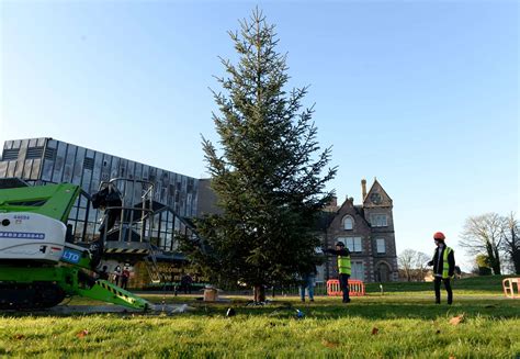 30ft Christmas Tree Arrives At Eden Court In Inverness