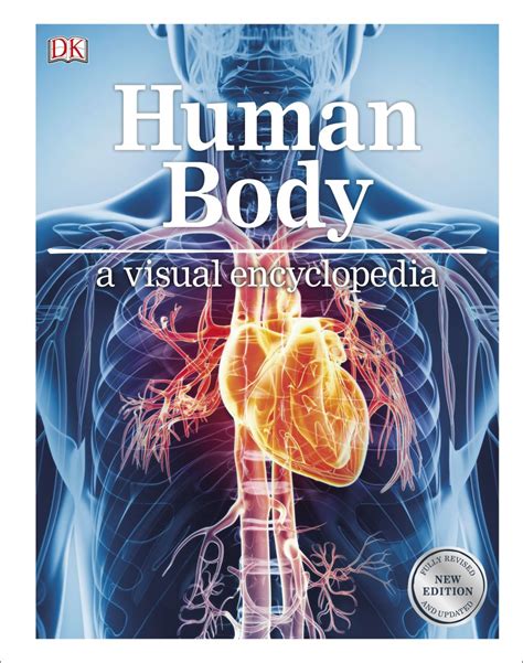 The human body is everything that makes up, well, you. Human Body | DK CA