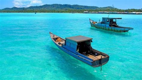 Daftar Cagar Alam Di Pulau Sumatera Dan Lokasinya Kata Omed