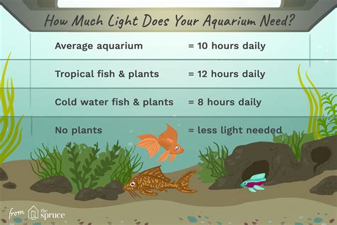Check spelling or type a new query. Adjust Aquarium Lighting to Support Plants and Fish