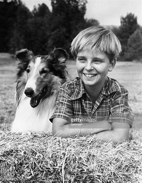 Timmy And Lassie My Favorite Tv Show In The 50s Steve White Flickr