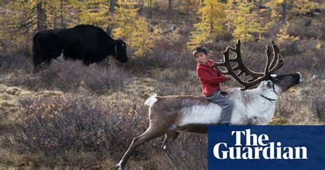 Mongolian Reindeer Herders In Pictures World News The Guardian