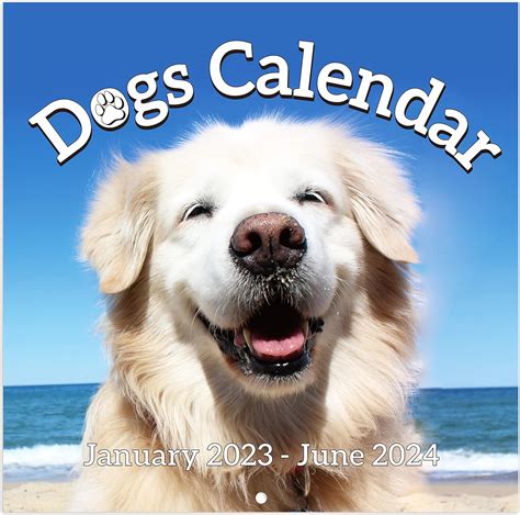 Buy 2023 2024 Wall Calendar Calendar 2023 2024 Cutie Dogs Wall