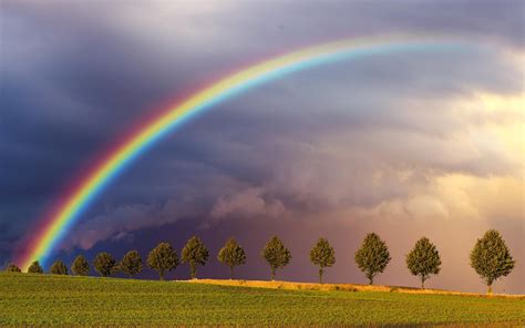 Nature Wallpaper Rainbow