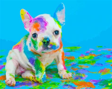 Colorful Puppy Dog Animals Paint By Number Num Paint Kit