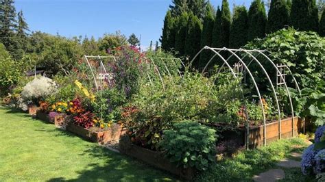 The Magic Of Gardening With Raised Beds Garden Washington