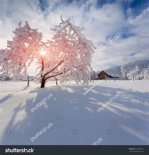 Winter Morning Carpathian Village Sunny Winter Stock Photo