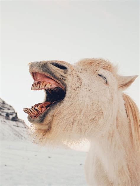 Maybe you would like to learn more about one of these? GDPR jokes: If you don't laugh you'll cry - MediaHQ