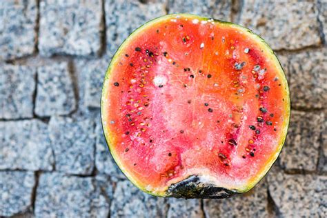 Rotten Watermelon Pic Stock Photos Pictures And Royalty Free Images Istock