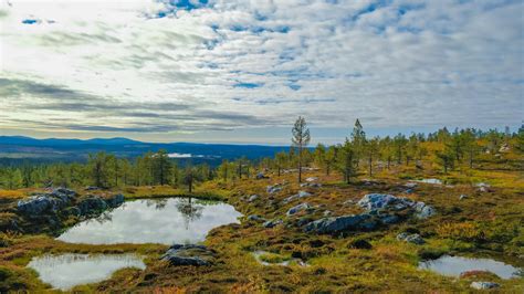 Särkitunturi Lapland Finland One Of My Favorite Hiking Spots In My Home