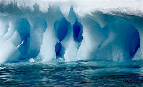 Cierva Cove Antarctica Iceberg Caves Cierva Cove Antarctic