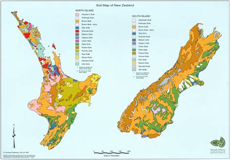 New Zealand Soils In A Nutshell — Resource With Map Soil New Zealand