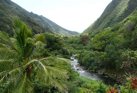 Environment About Maui Nui