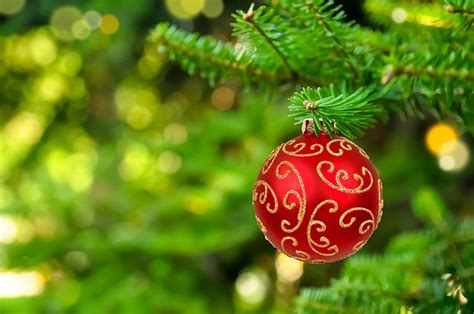 Zoom in the image and click to pick the color. Why Christmas Colors Are Green and Red | Reader's Digest
