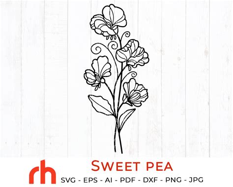 Sweet Pea Svg April Birth Flower Svg Sweet Pea Silhouette Etsy