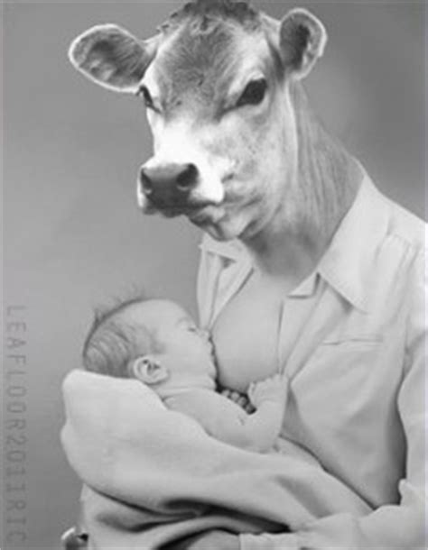 Cows Produce Human Breast Milk