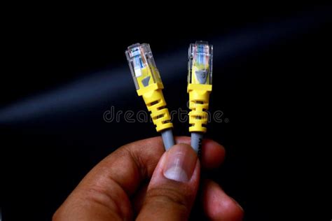 Wired Network Equipment Stock Photo Image Of Cat6 Equipment 19990296