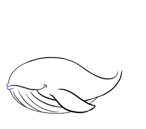 How To Draw An Easy Whale Easy Drawing Guides