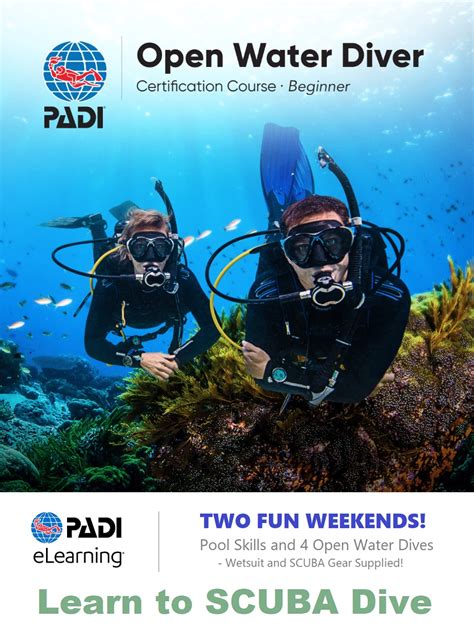 Padi Open Water Diver Course Wellington Scuba Diving