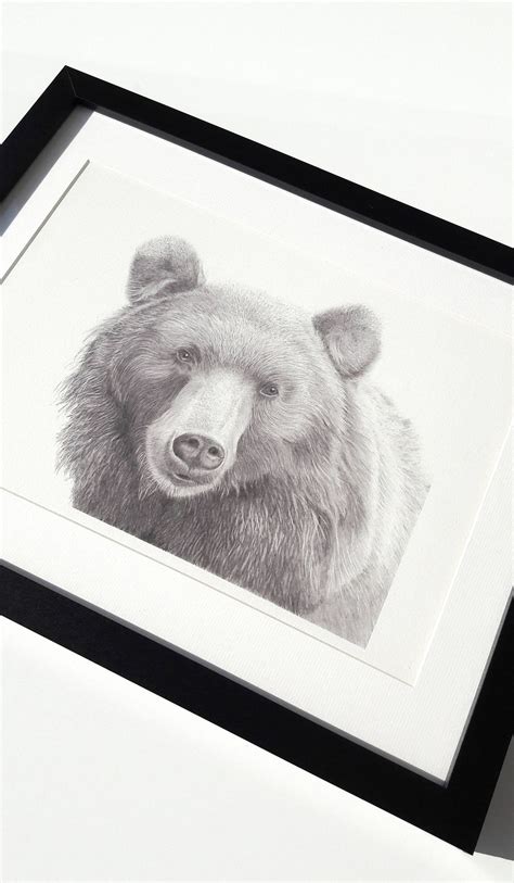 Bear Art Print Hand Drawn Animal Pencil Drawing A4 A5 Sizes Etsy