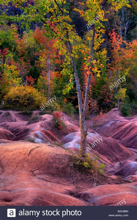 Beautiful Colorful Fall Scenery Stock Photo Alamy