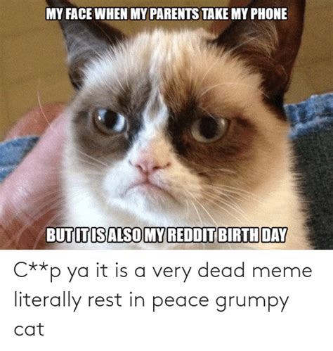 Cp Ya It Is A Very Dead Meme Literally Rest In Peace