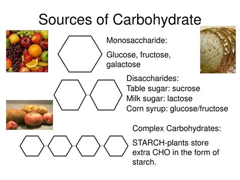 Carbohydrates Are Stored In Fhe Kiver And Musc In The Form Of