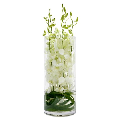 Giselle White Orchid Vase Brighton Fleuriste