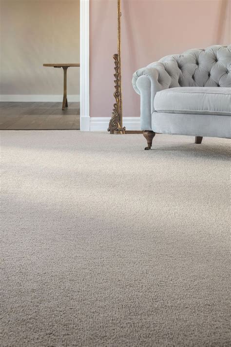Solid Neutral Carpet Living Room Carpet Neutral Carpet Grey