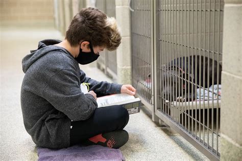 Kids get reading practice with animals at Humane Society of Huron