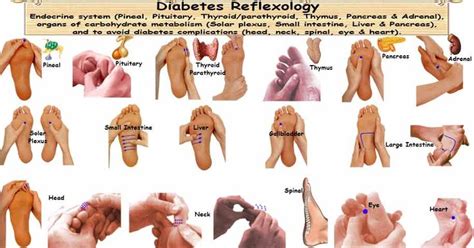 Diabetes Reflexology Foot Massage Diabetes Diabetes Management Reflexology
