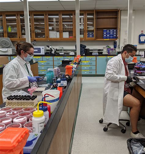 The Remarkable Transformation Of Uf Microbiology Labs For Uf Online