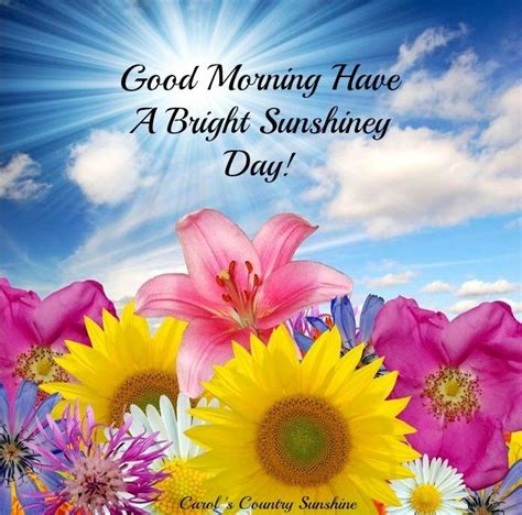 Good Morning Have A Bright Sunshiny Day