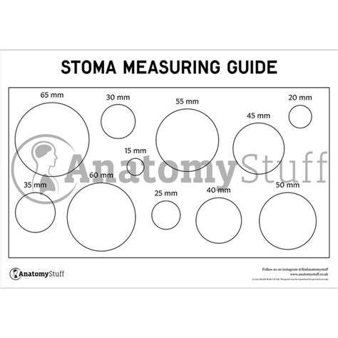 Stoma Measurement Guide Pdf