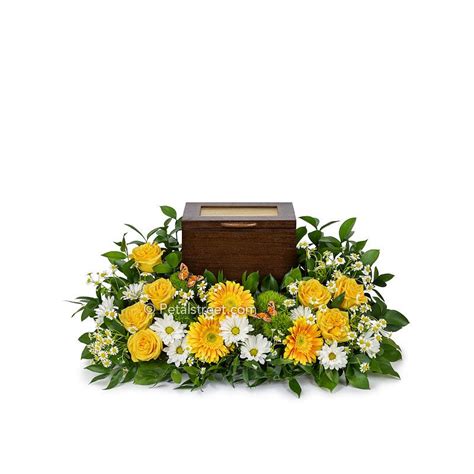 We did not find results for: Funeral Flowers for Cremation | Florist in Point Pleasant ...