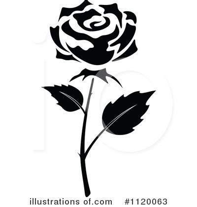 Holzrahmen in schwarz, weiß, grau oder eiche. rose schwarz weiß clipart 7 | Clipart Station