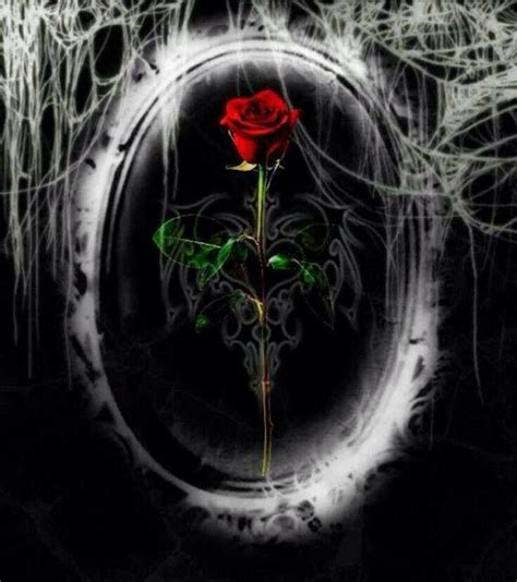 A Single Red Rose Sitting In The Center Of A Circular Frame With Black