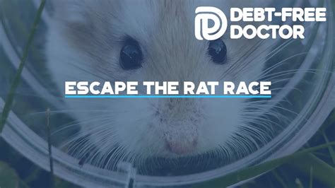 Escape The Rat Race What School Failed To Teach You About Money