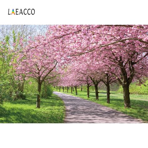 Laeacco Spring Landscape Scenic Photophone Pink Blooming Trees