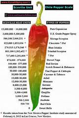 Types Of Chili Peppers And Their Heat Index Pictures