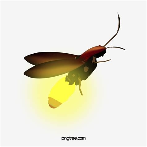 Insects Clipart Glow Bug Insects Glow Bug Transparent Free For